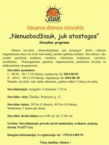 Vasaros dienos stovykla